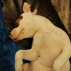 Meet your Posher, Jenny